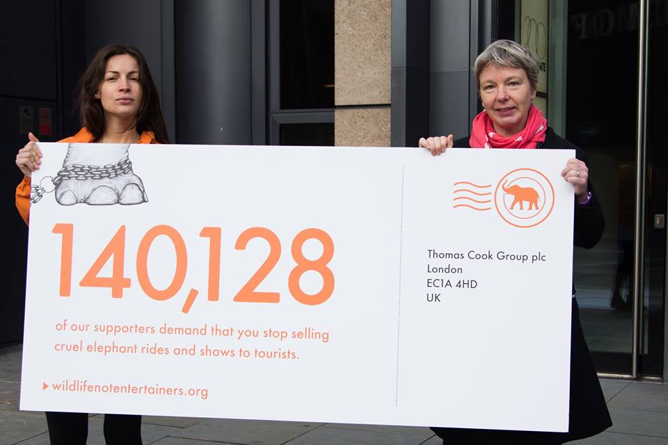 world animal protection campaigners with amy dovers designs