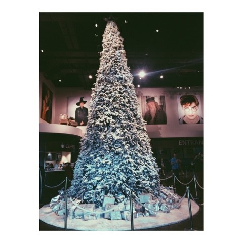 tree1