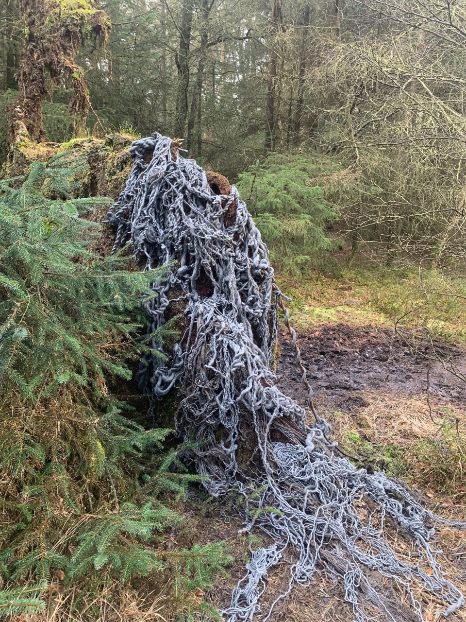 Installation in Selfscapes exhibition in Dalby Forest by Dr Tony Charles
